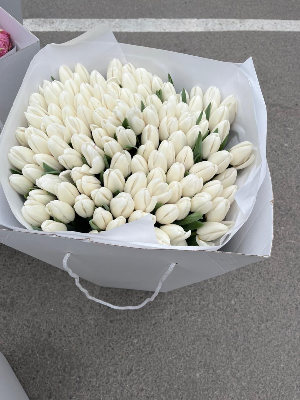 Тюльпан белый гладкий